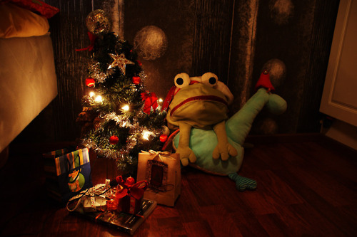 And Lights Christmas Tree Frog Gifts Giraffe