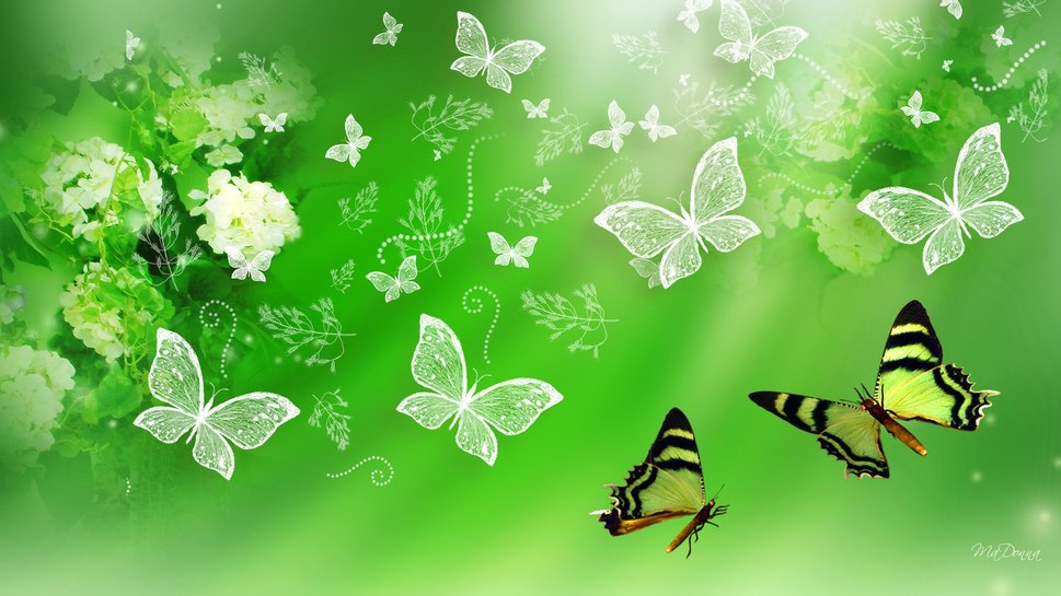 Green Hydrangea And Butterflies Wallpaper