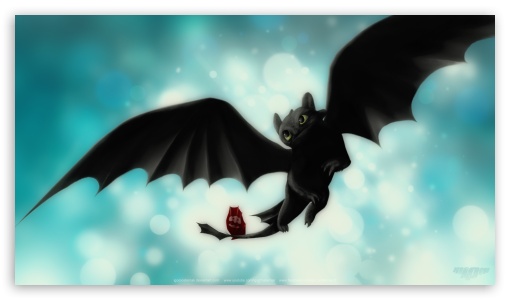 Night Fury Toothless HD Wallpaper For High Definition WqHD
