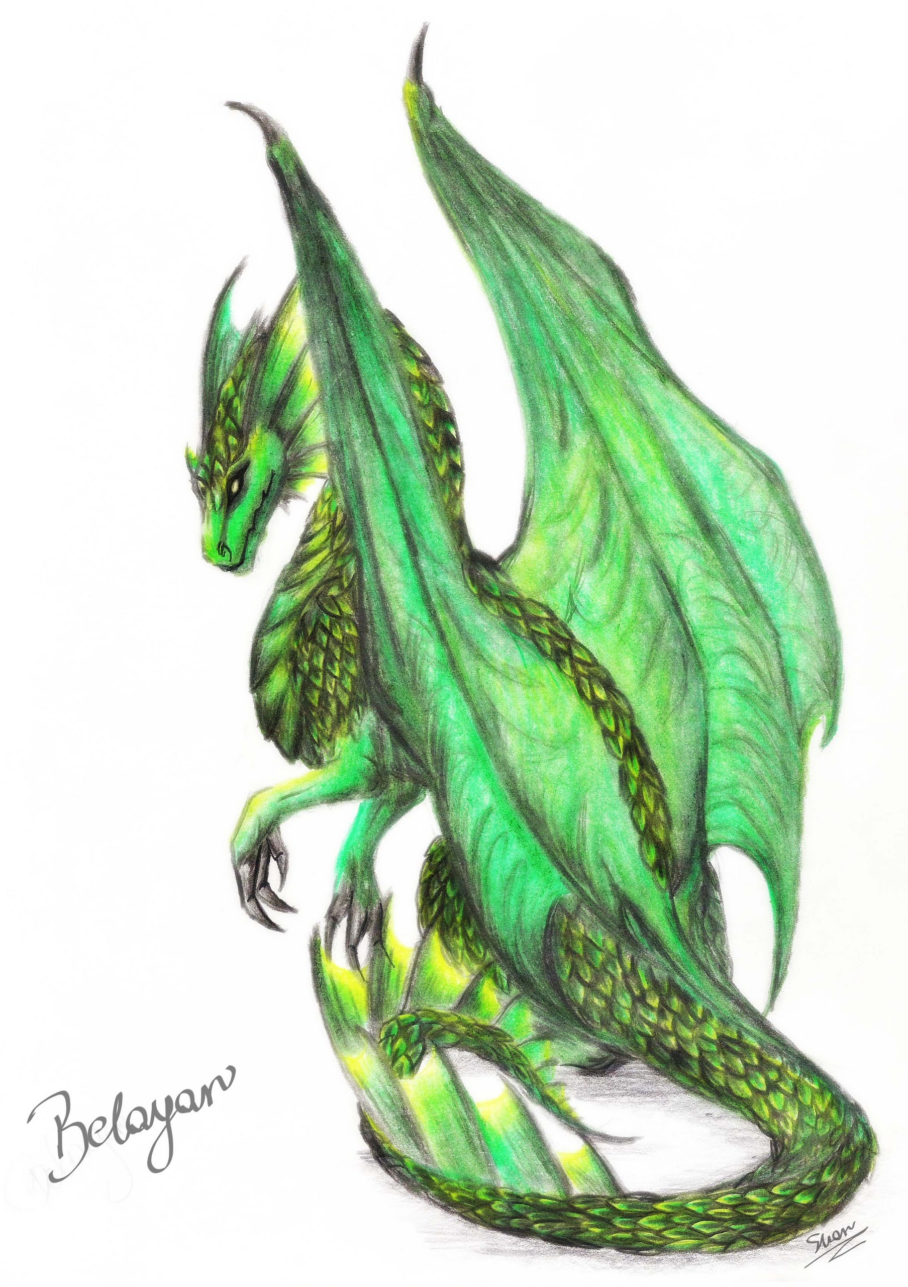 Green Dragon Clip Art On