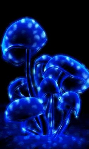 Glow Mushrooms Live Wallpaper For Android By Grayrainbow