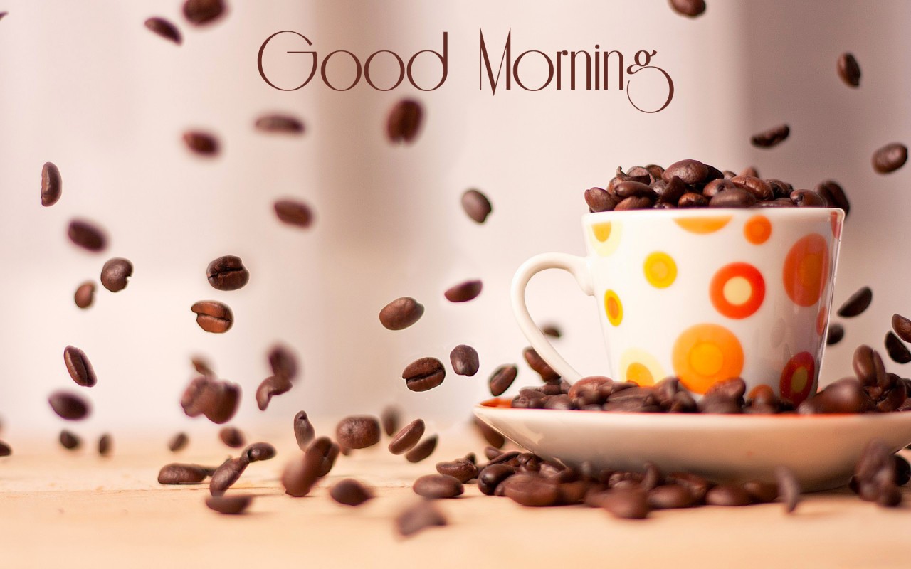 Lovely And Beautiful Good Morning Wallpaper Allfreshwallpaper