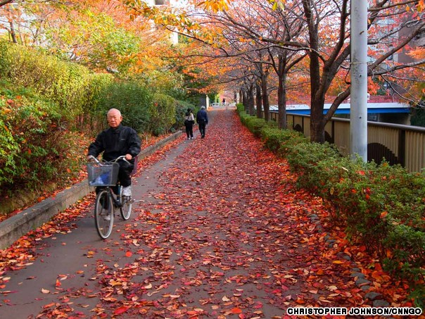 Autumnal Scenes In Tokyo Most Beautiful Places The World