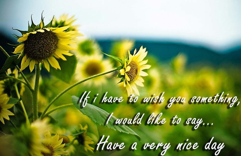 Free Download Image Have A Nice Day Wishes Wallpaper Good Day