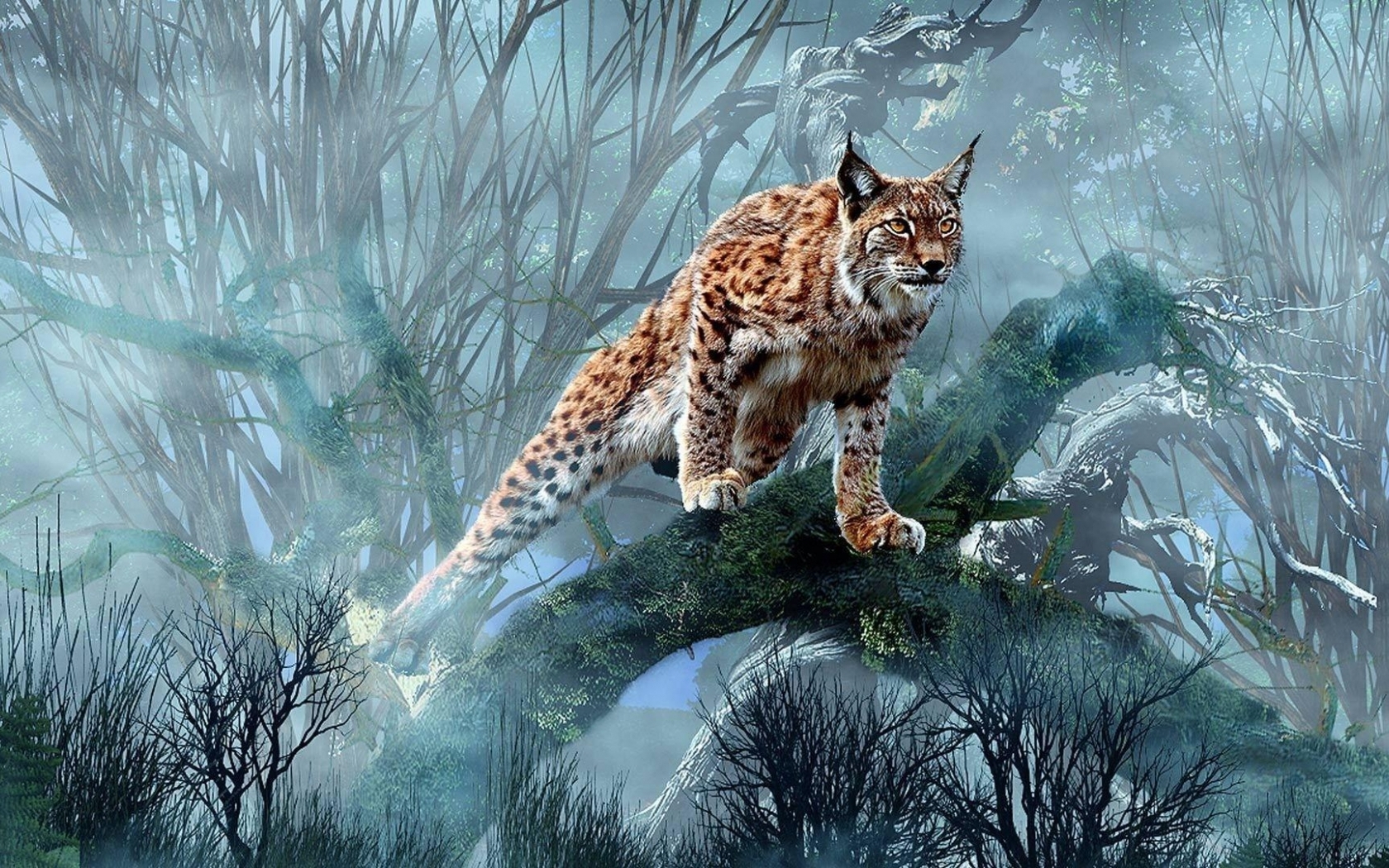 Lynx Hunting Wallpaper In Animals With All