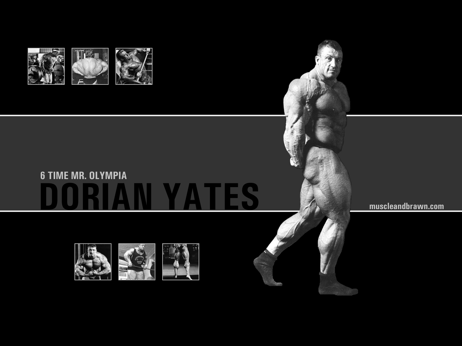 Dorian Yates Wallpaper Set Muscle And Brawn