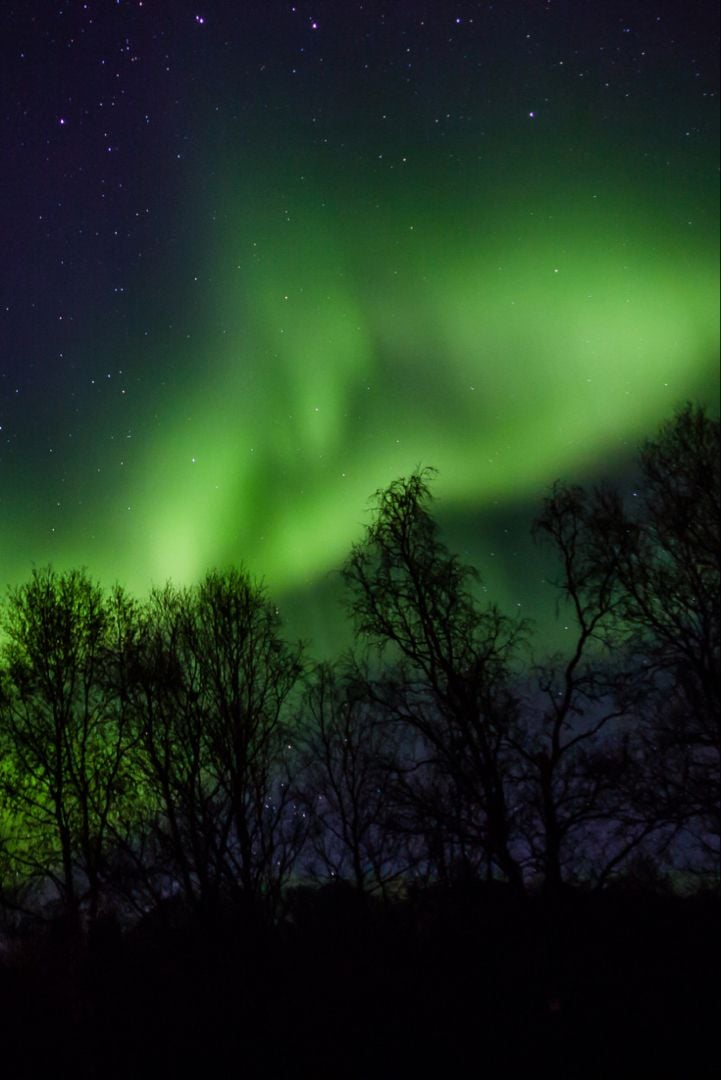 Norway in Pictures The Northern Lights   Life in Norway Dark