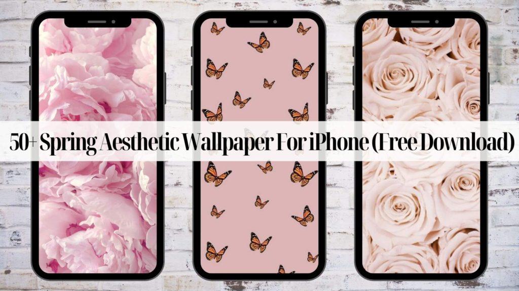 50 Spring Aesthetic Wallpaper For iPhone Free Download   Kayla
