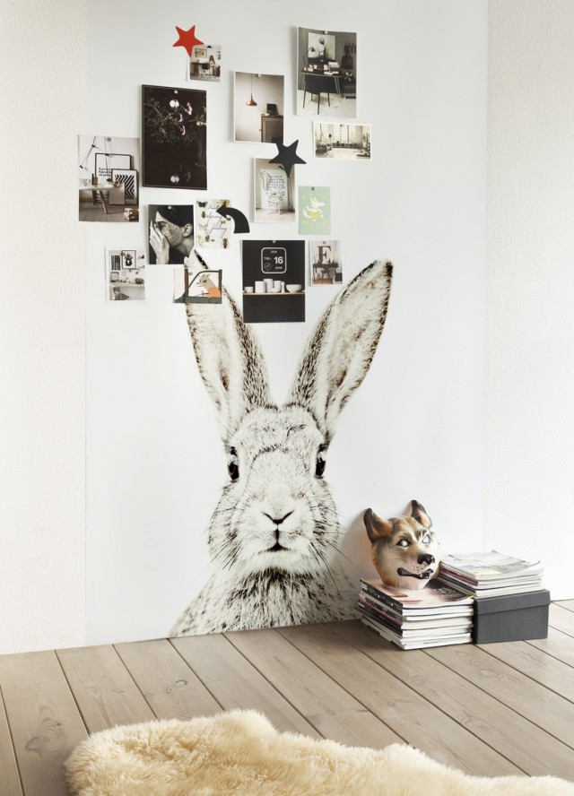 Magic Rabbit Room