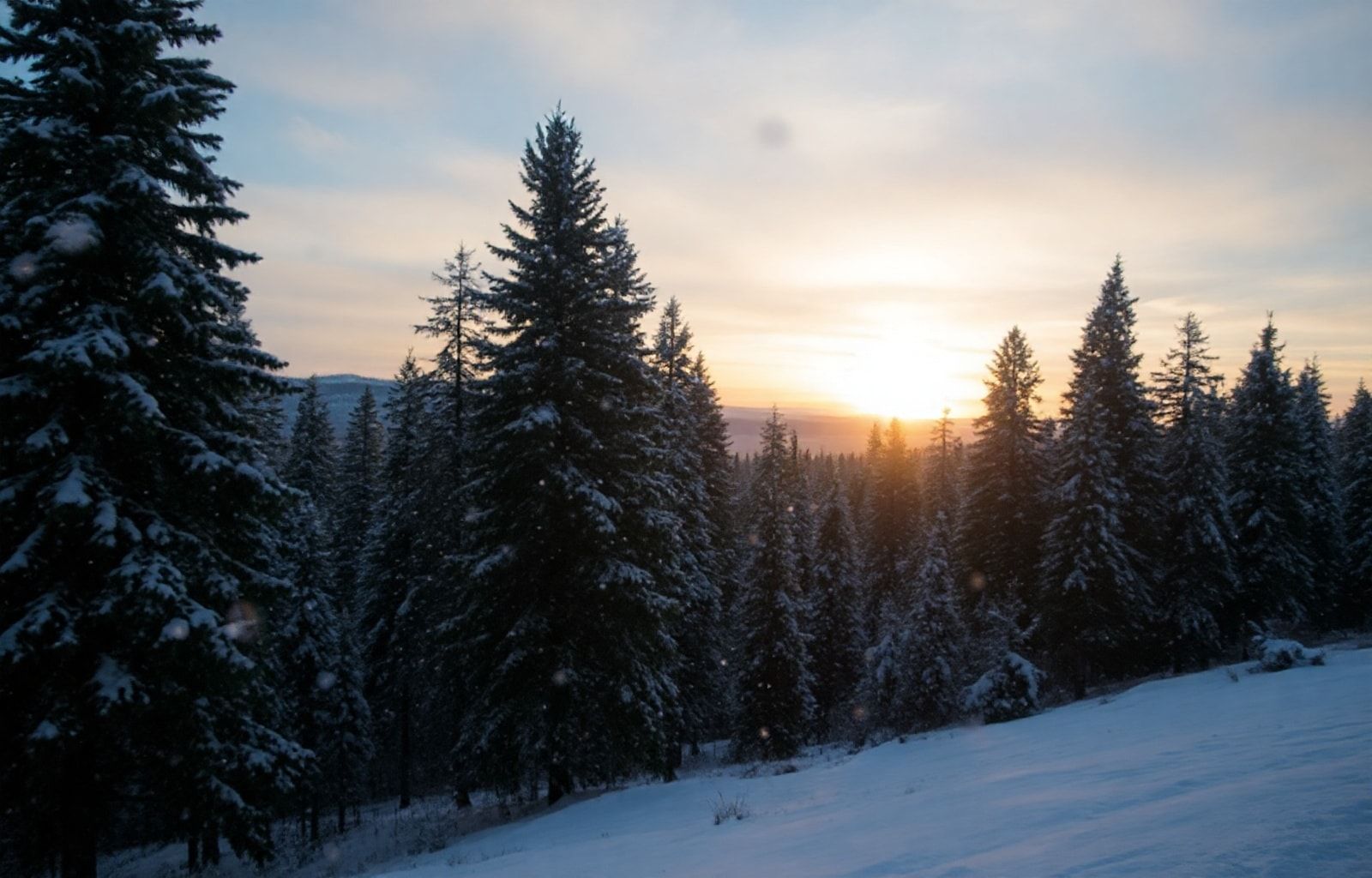 Winter Wallpaper For Ipad
