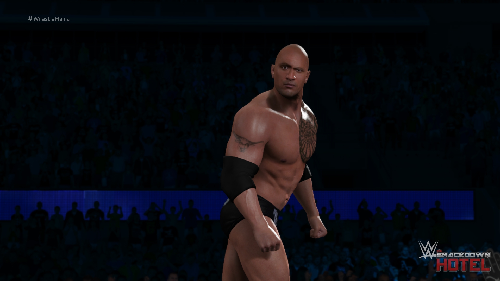 The Rock Wwe 2k17 Roster