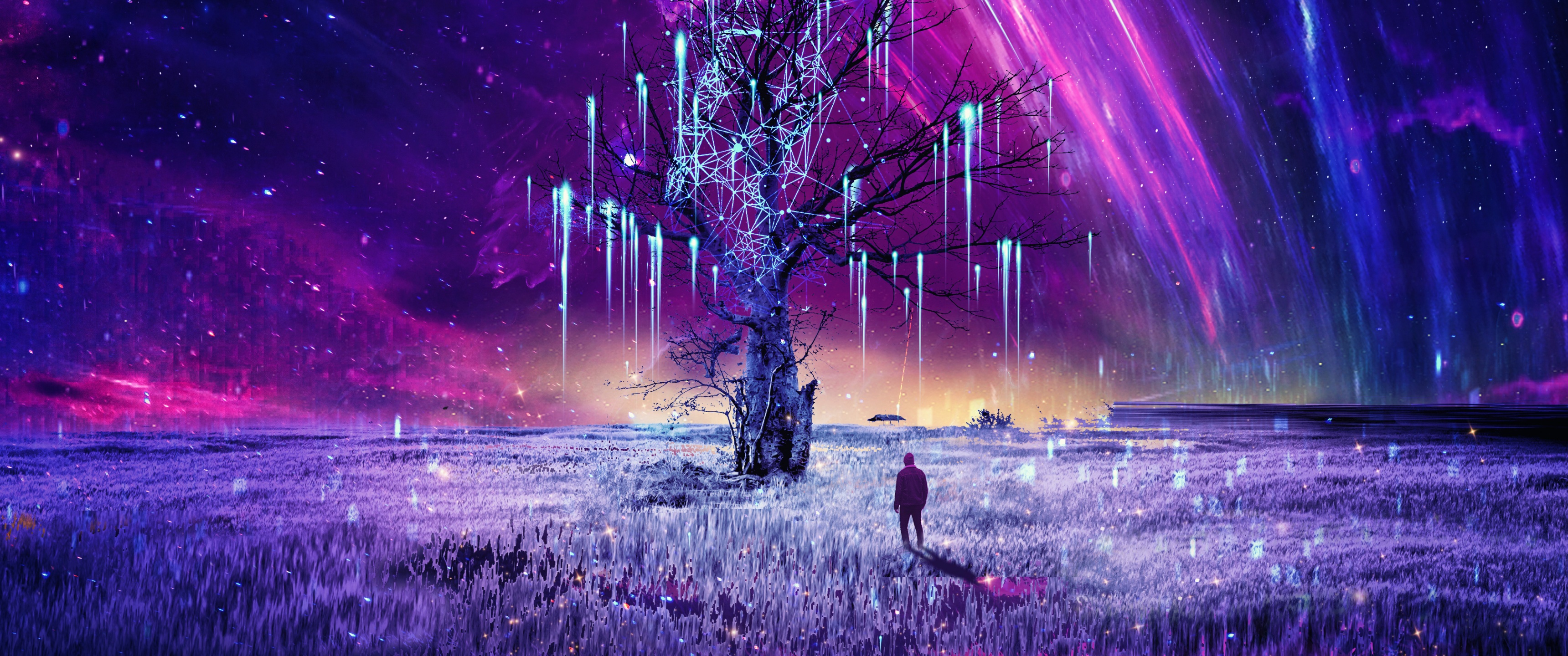 Ultrawide Monitor QHD Wallpaper