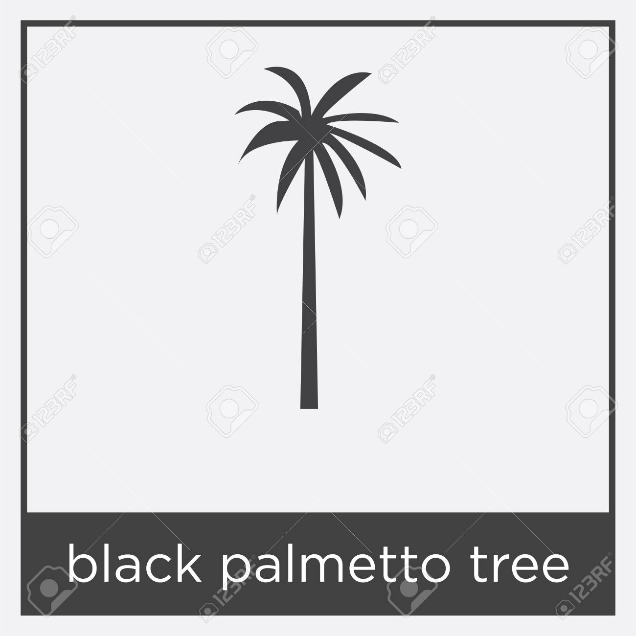 Black Palmetto Tree Icon Isolated On White Background With