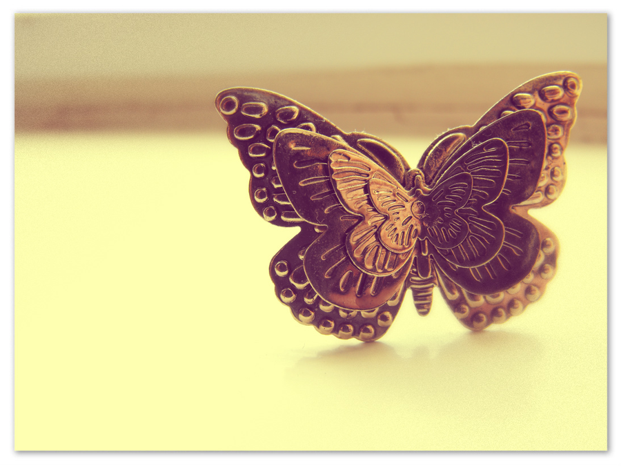 Vintage Butterfly by missimo c on