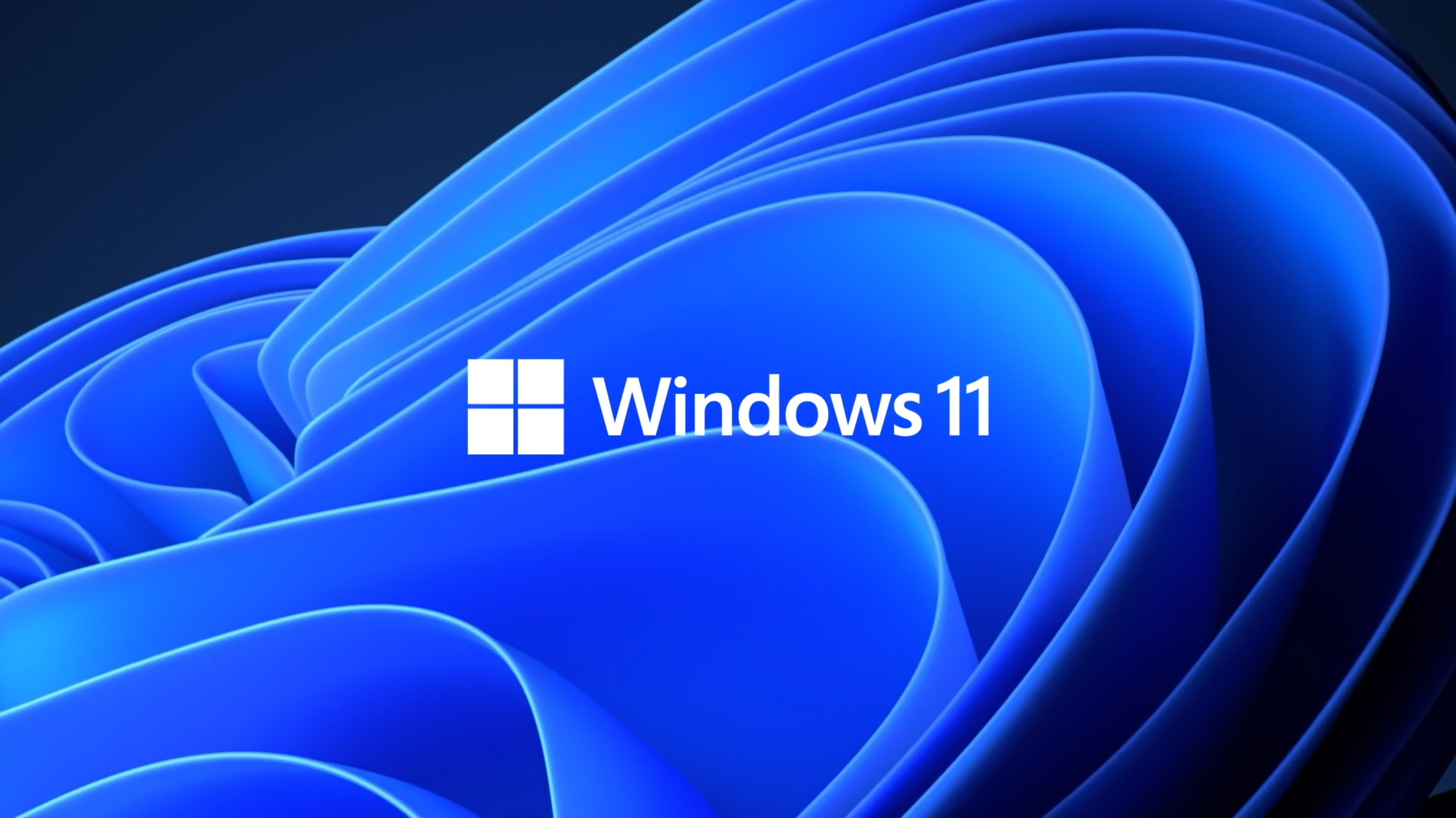 Windows 11 Everything You Need to Know 2560x1440