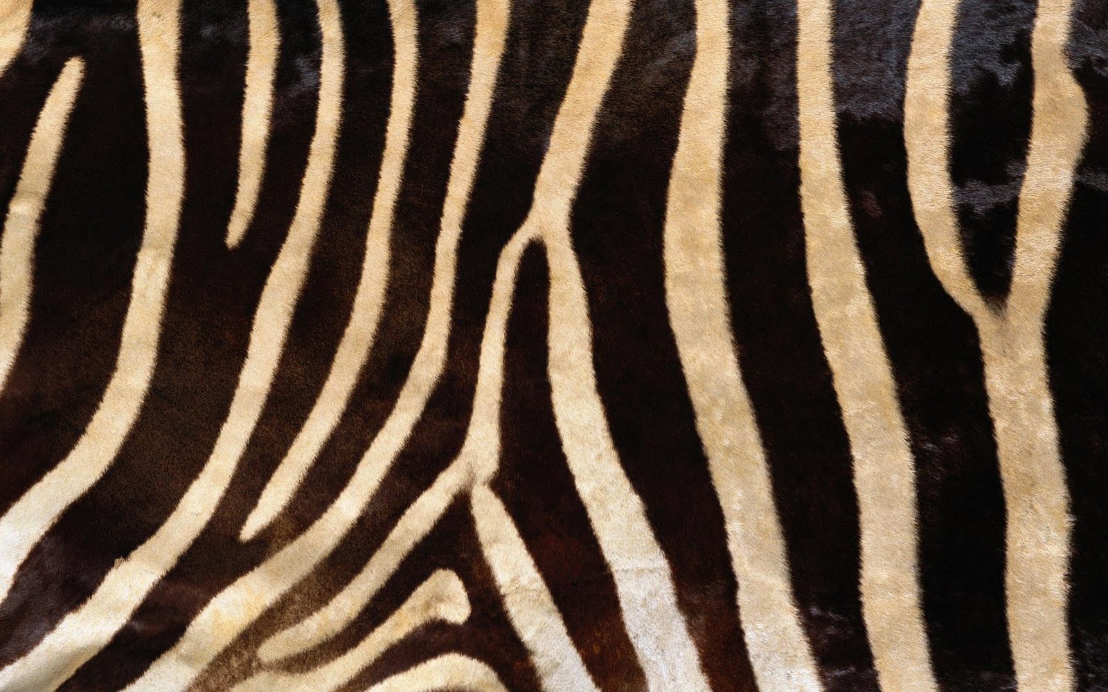 Animal Fur Wallpaper On