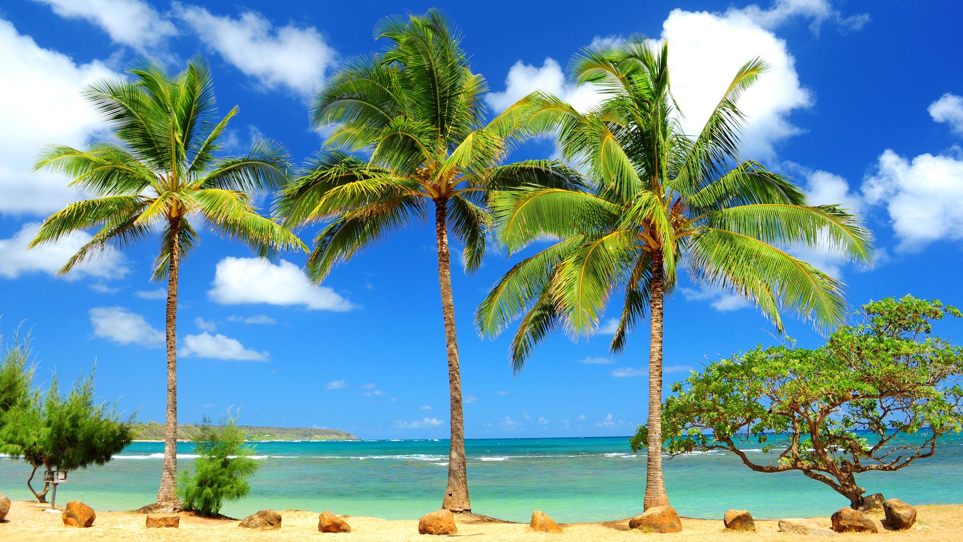 Beach HD Wallpaper For Desktop Beauty