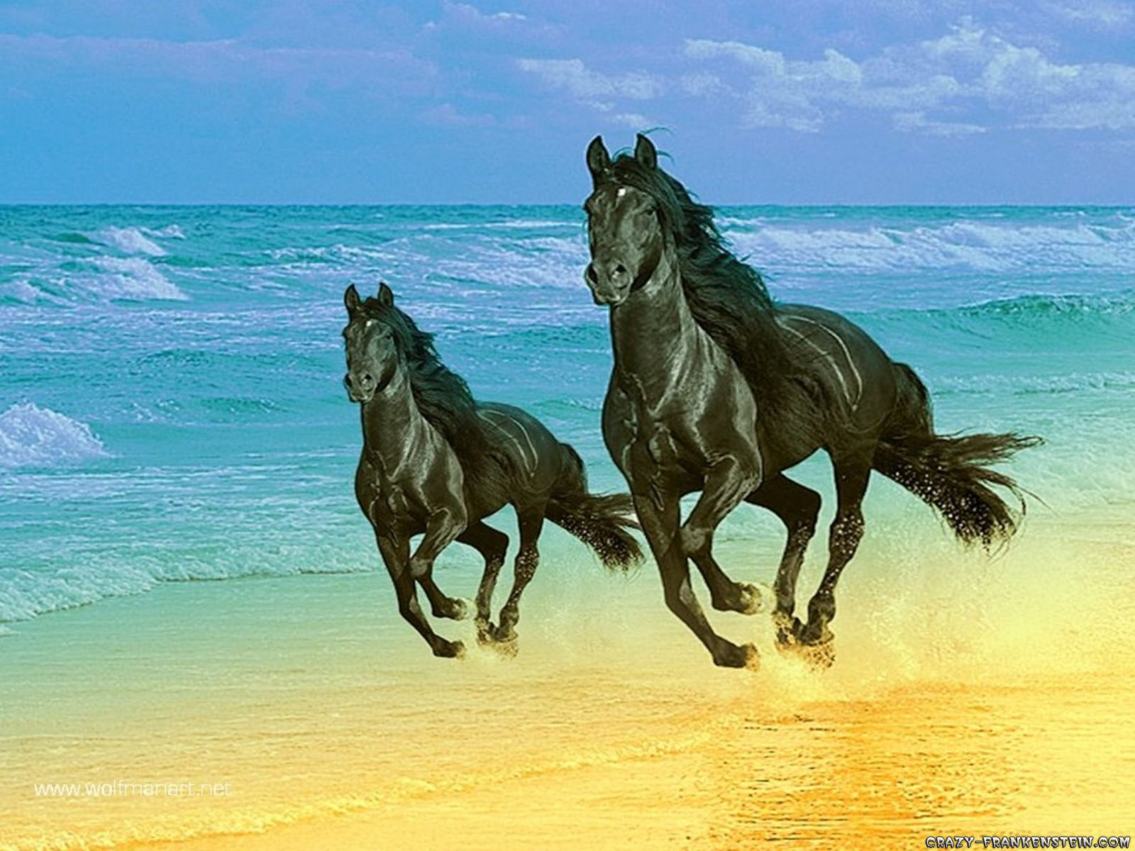 Two majestic black horses galloping along a sandy beach, with the ocean waves in the background