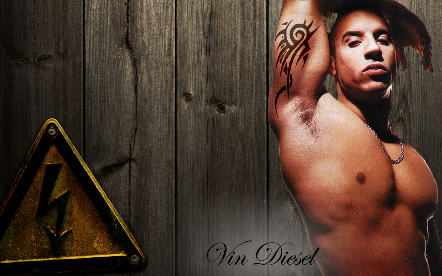 Fitness Weight Loss Gym Vin Diesel Wallpaper HD Biceps Tattoos