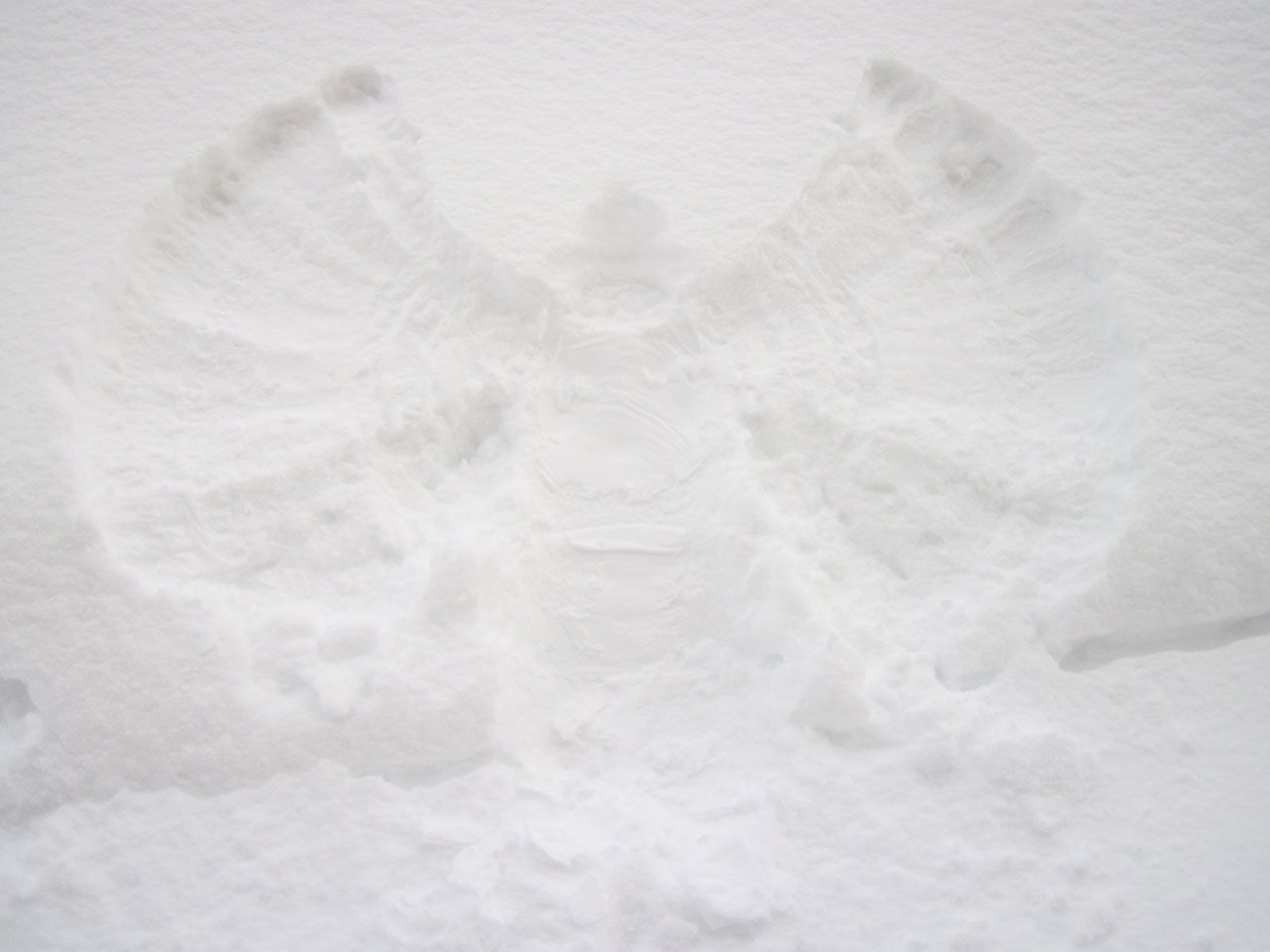 A snow angel imprinted in fresh, white snow, captured from a directly overhead angle. The angel's wings and body are clearly defined, displaying the classic shape and texture of a snow angel