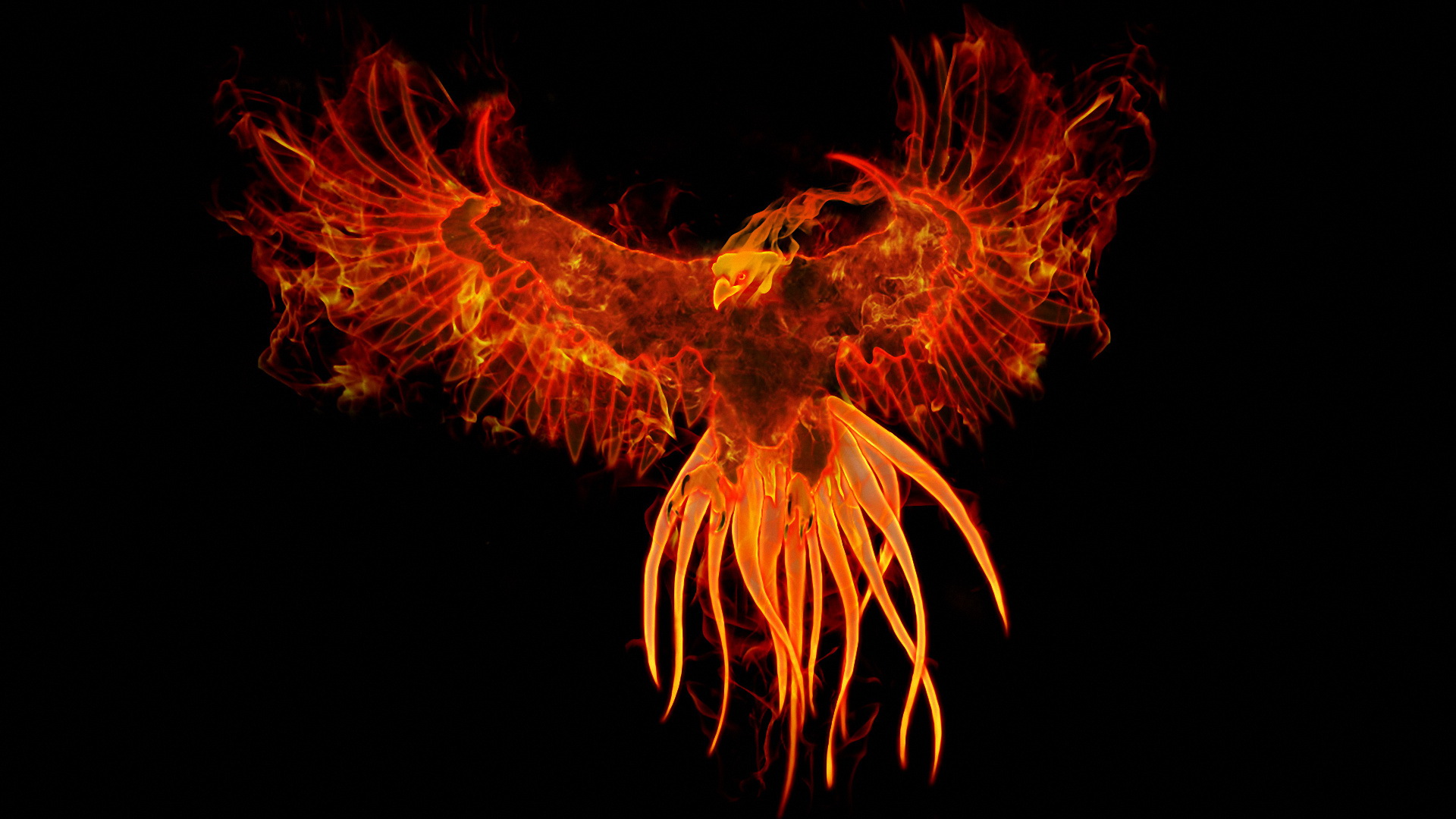 Phoenix Puter Wallpaper Desktop Background Id