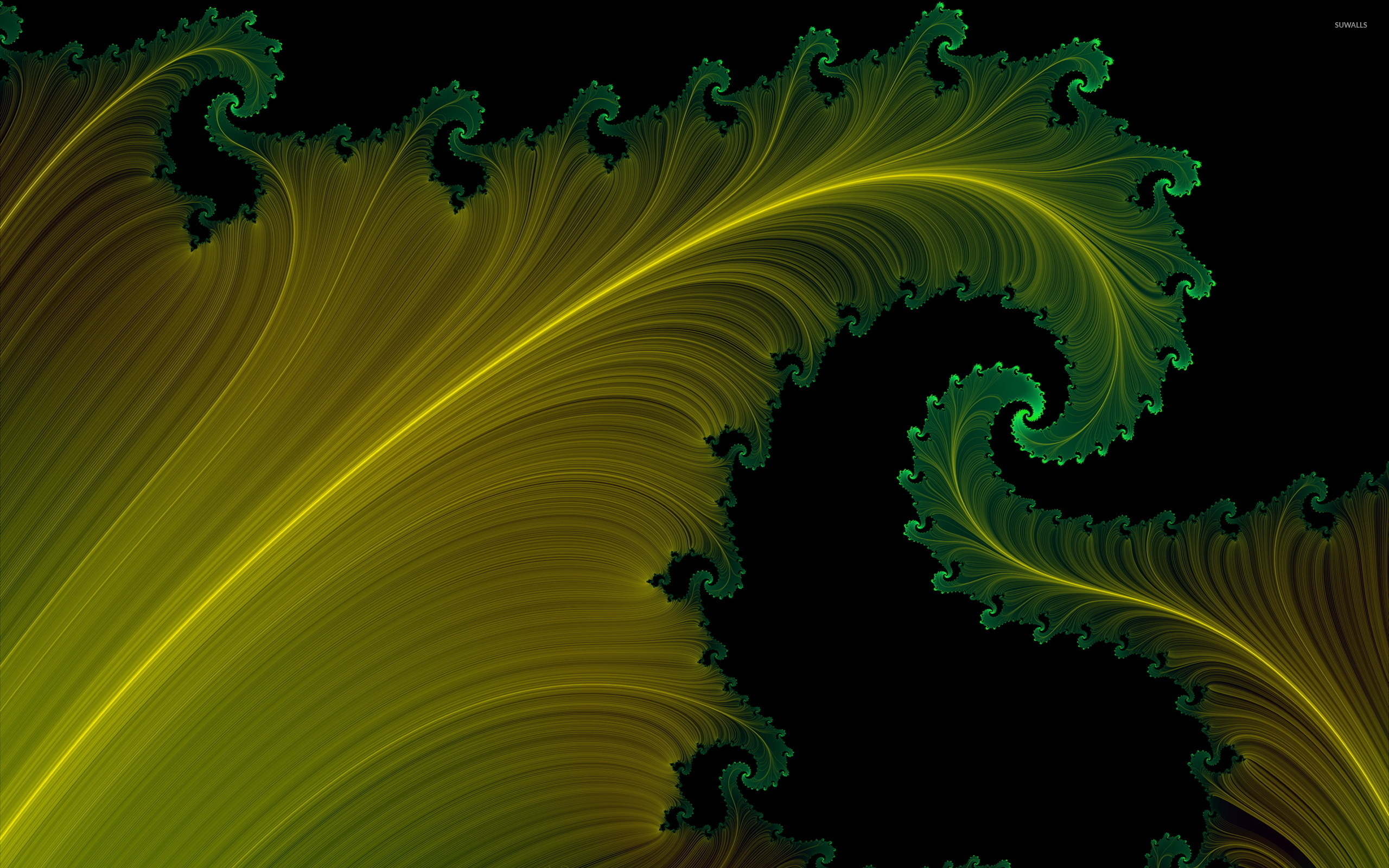 Fractal Leaves Wallpaper Abstract