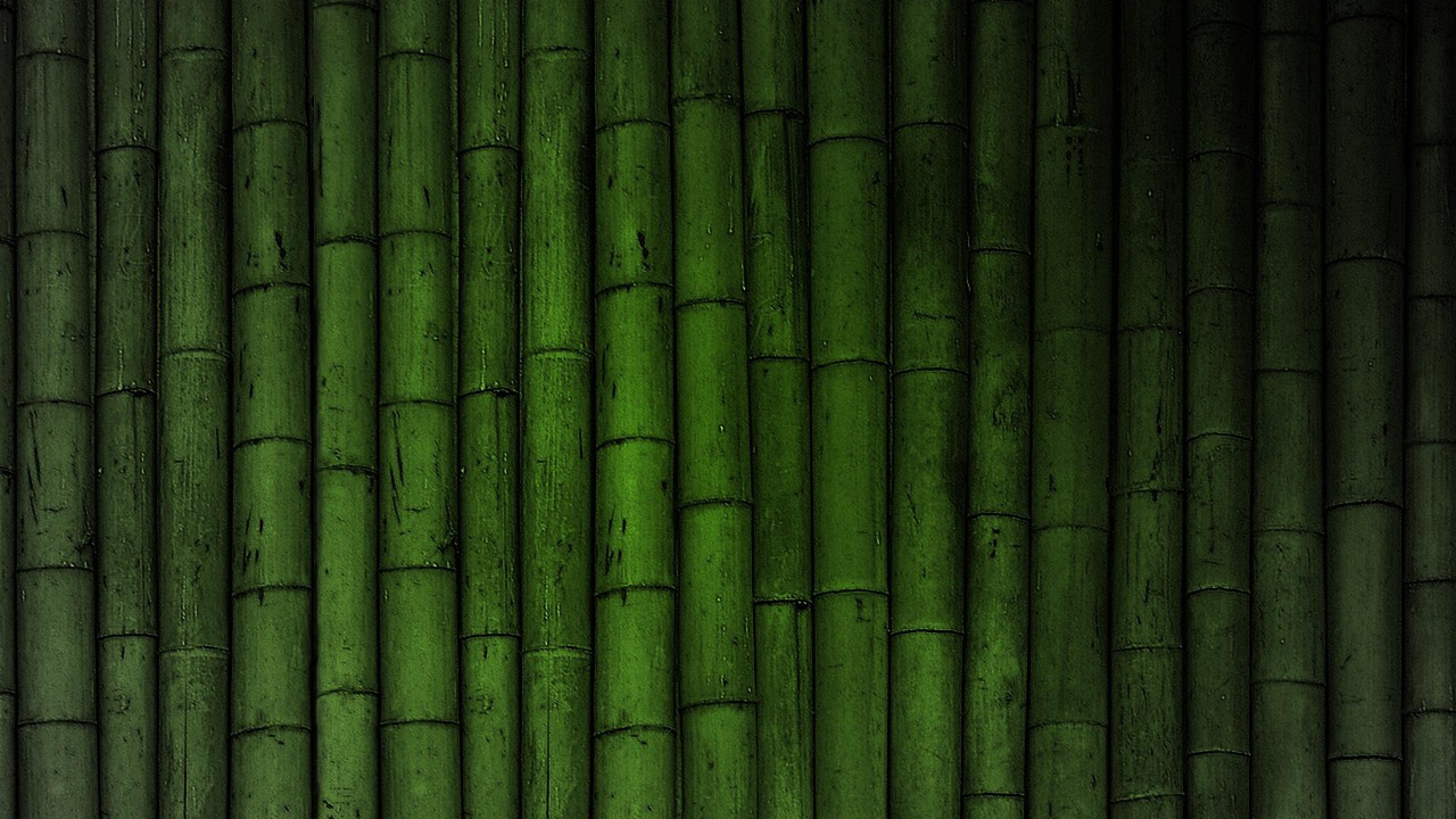 HD Bamboo Background Wallpaper