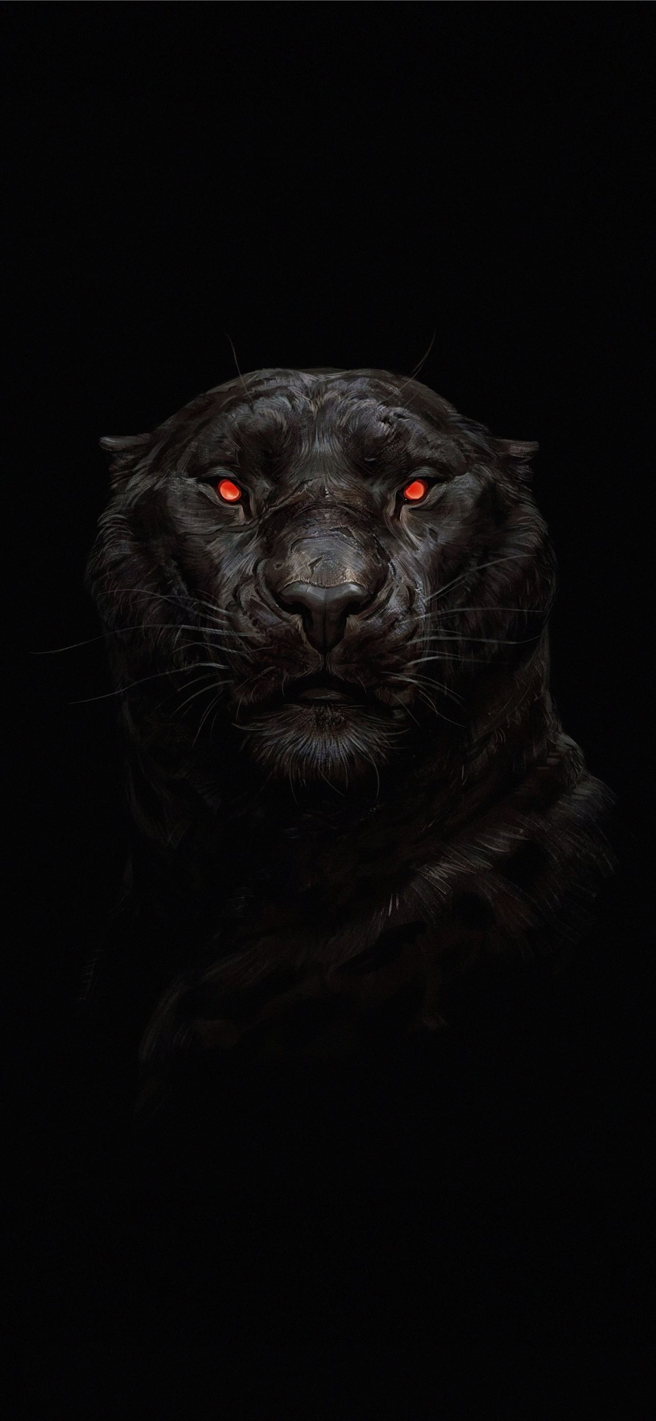 Puma Animal iPhone Wallpaper