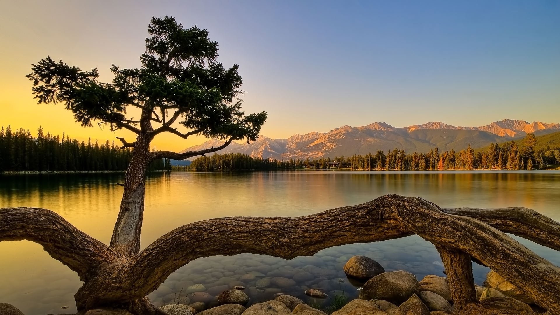Widescreen Nature Desktop Lake Beautiful Life Animal Backgrounds