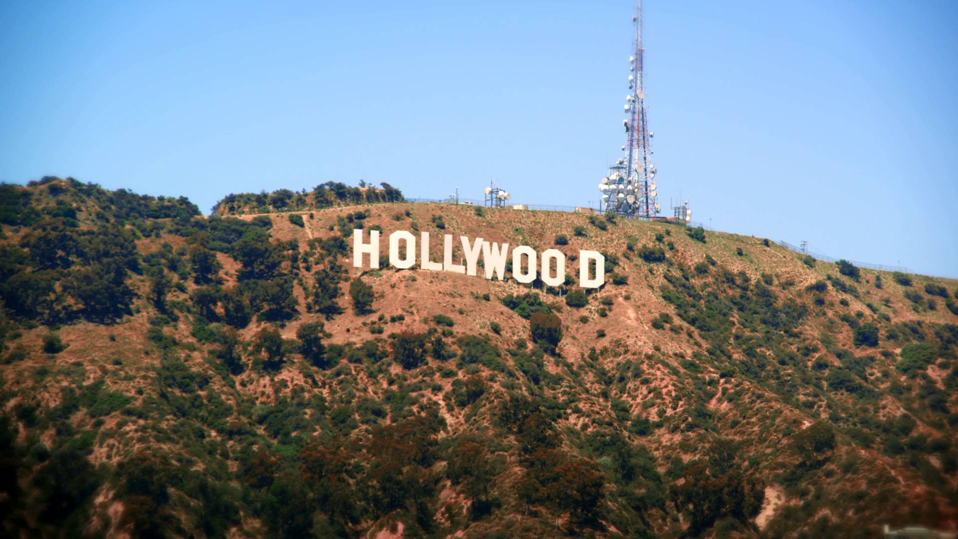 The Hollywood Sign Wallpaper On