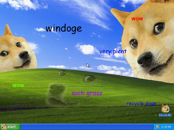 Doge Meme Windows Desktop Pampered Pooch Pinterest