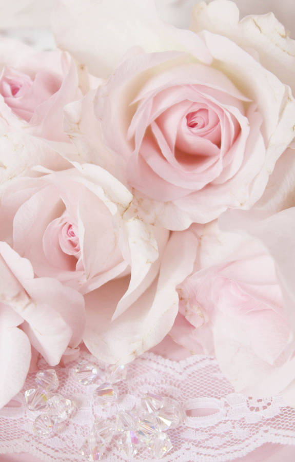 Baby Pink Wallpaper