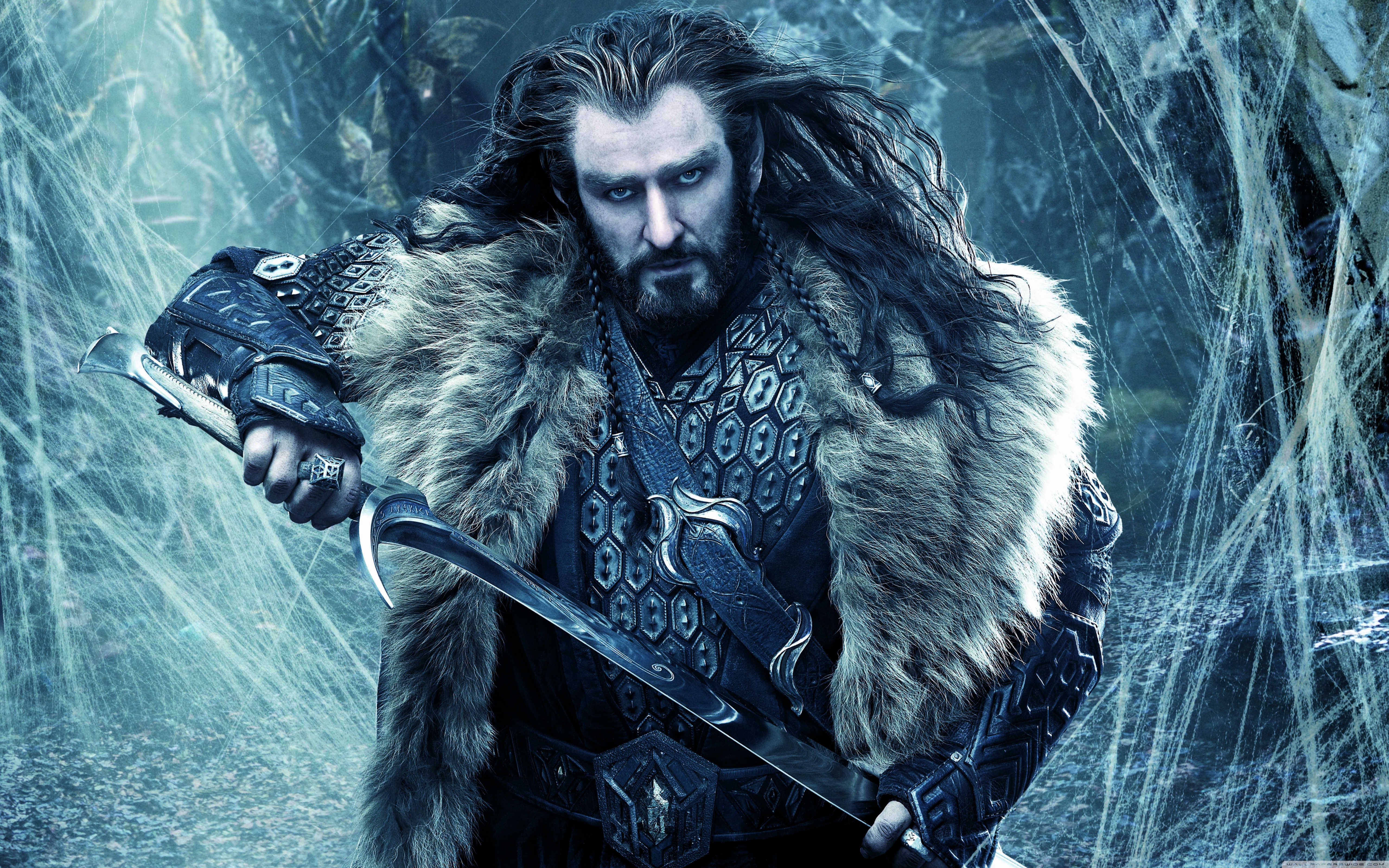 The Hobbit Desolation Of Smaug Thorin Oakenshield 4k HD