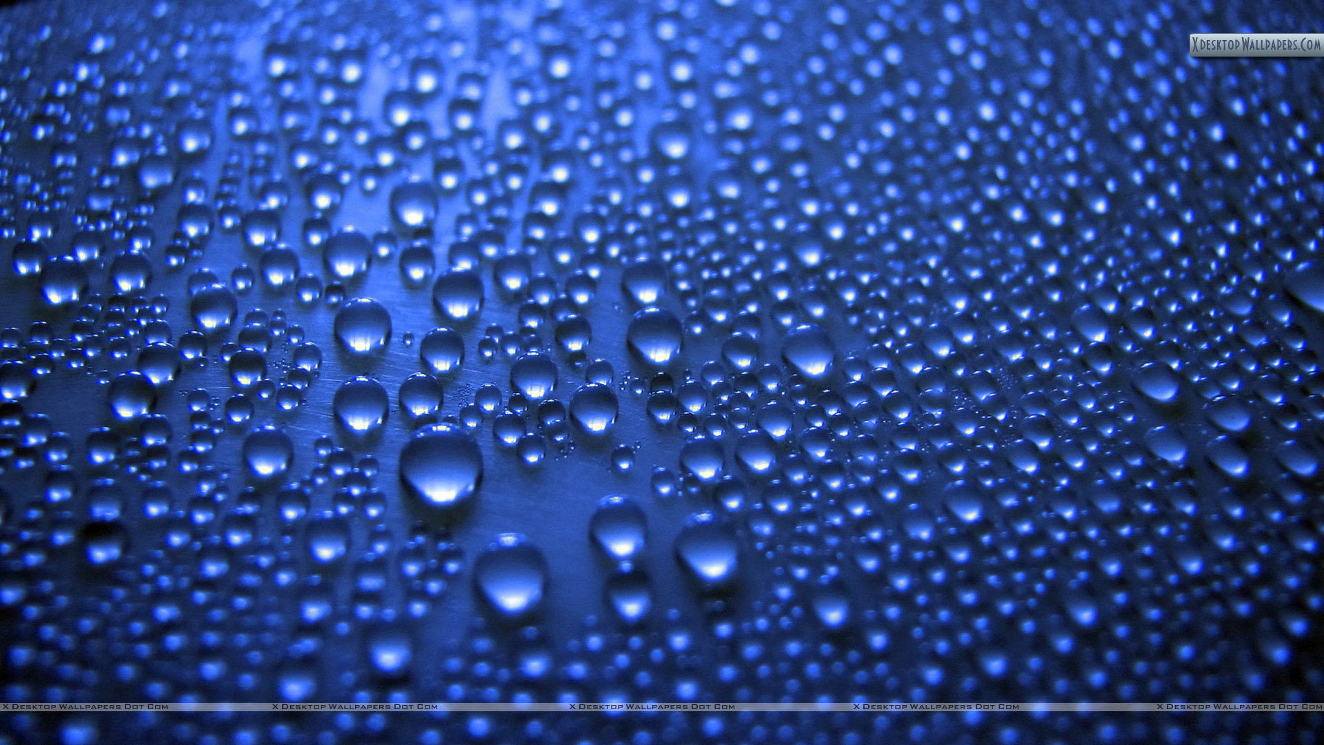 Water Drops On Blue Background Wallpaper