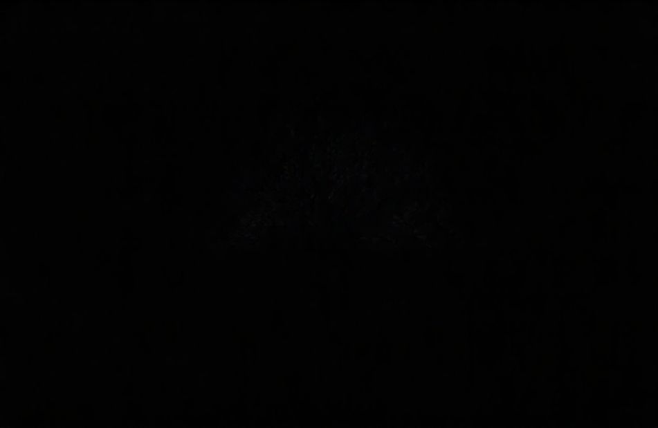 Black Background Pic