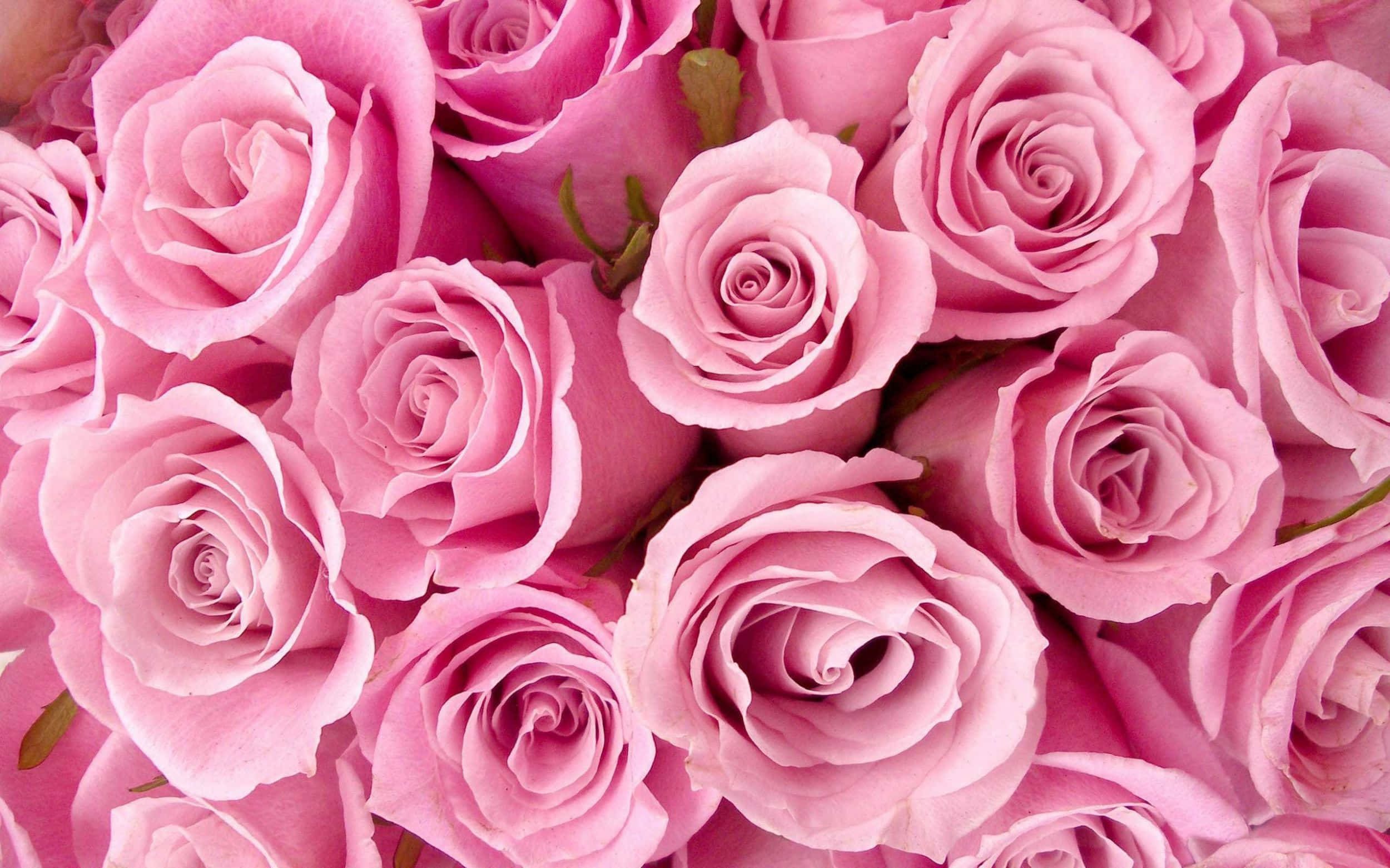Cute Girly Background Wallpaper