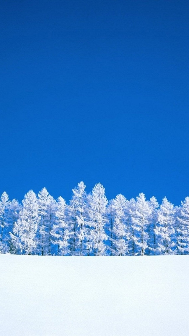 White Snow Tree iPhone Wallpaper Top