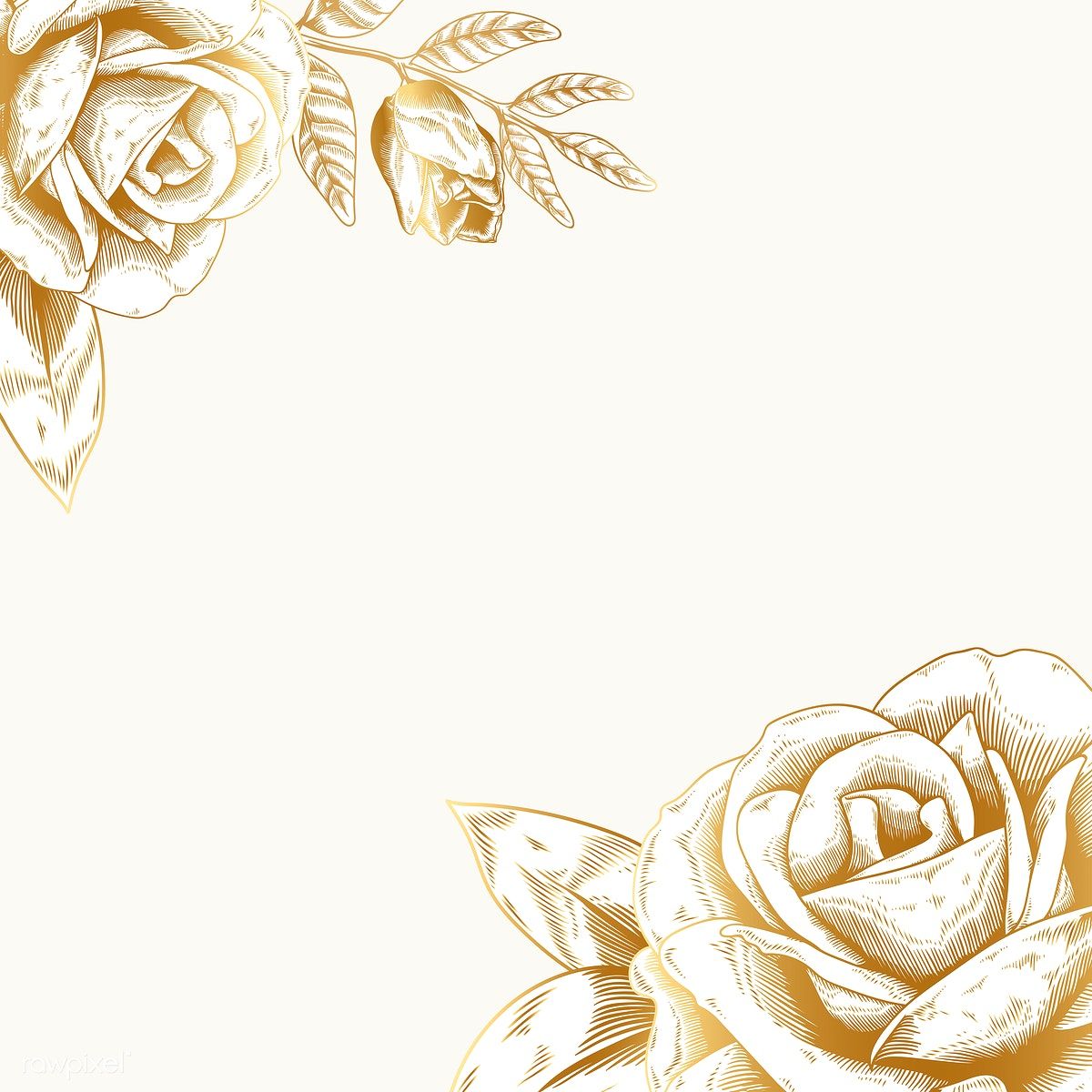 Hand Drawn Rose Framed Background Vector Image By Rawpixel