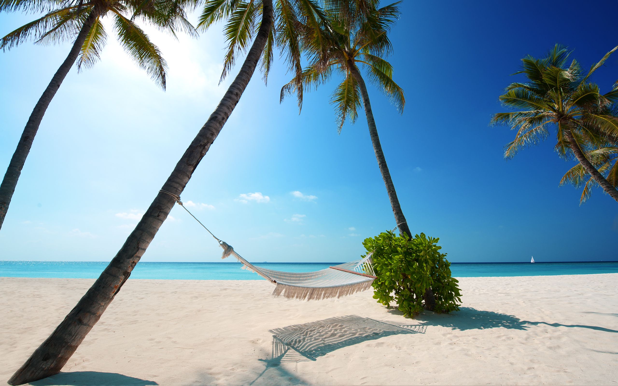 10,085,207 Beach Vacation Royalty-Free Images, Stock Photos & Pictures |  Shutterstock