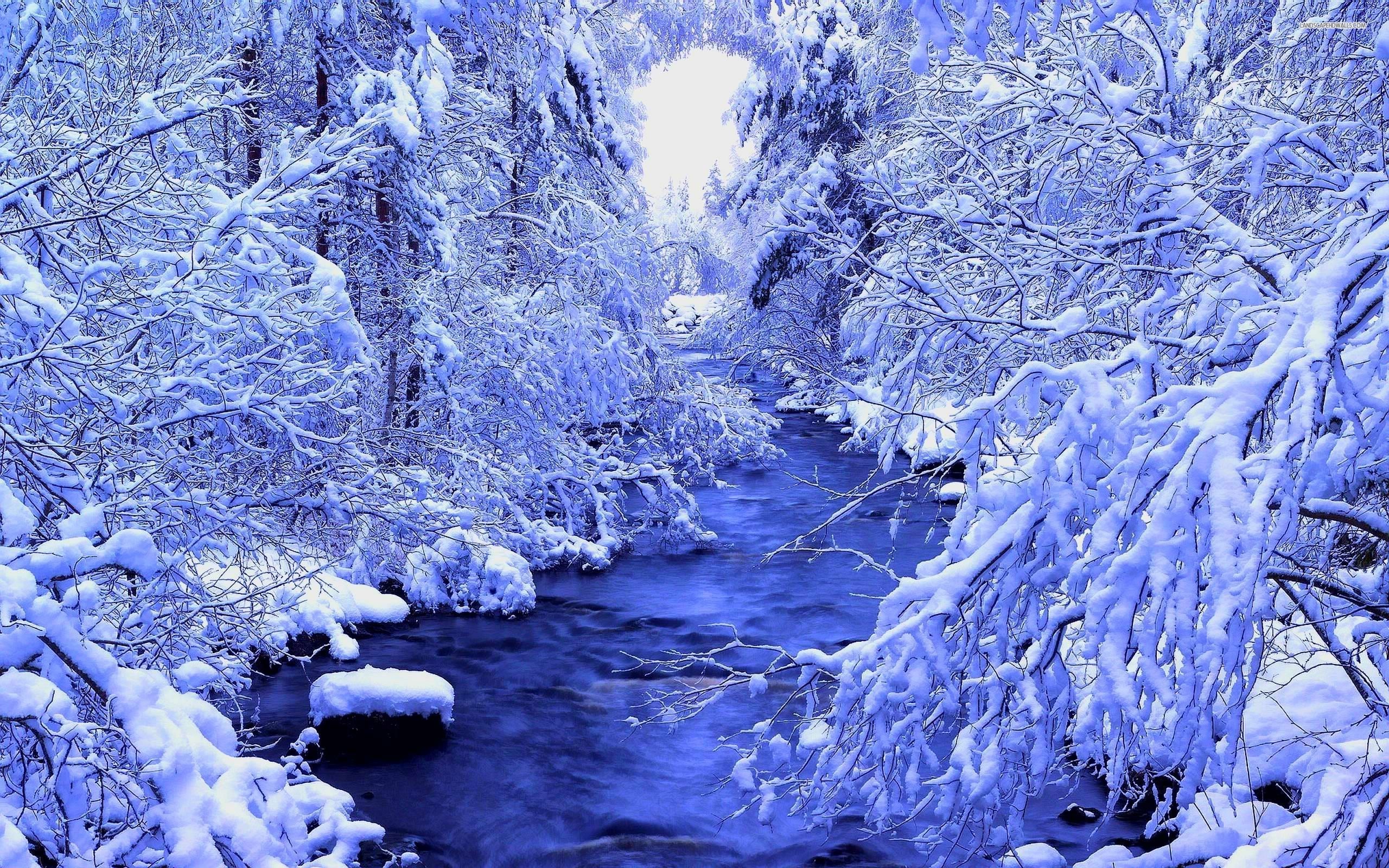 Beautiful Winter Wallpaper