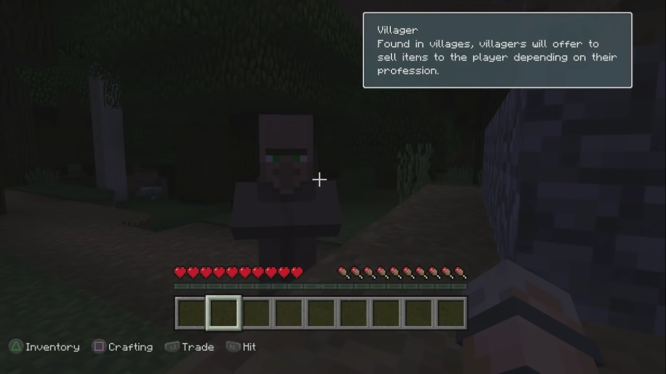 Villager Jerma Lore