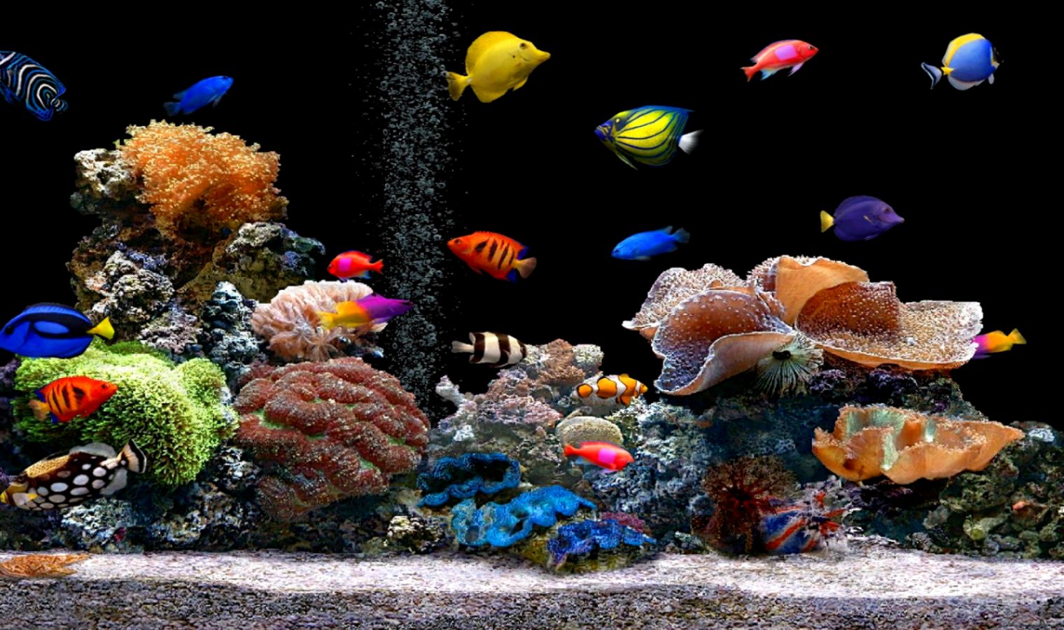 3d HD Live Wallpaper