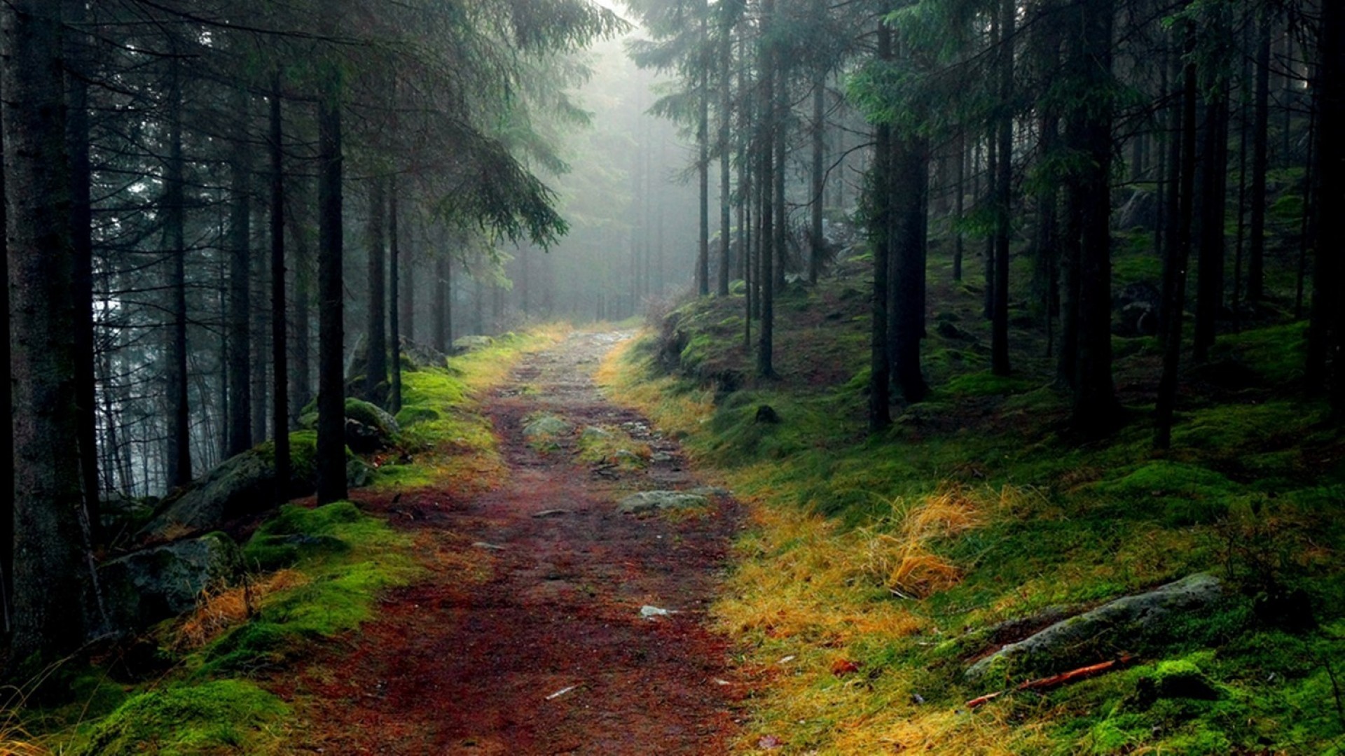 High Definition Nature Wallpaper