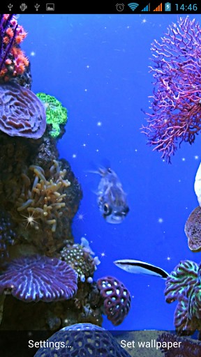 Aquarium Live Wallpaper For Android By Best