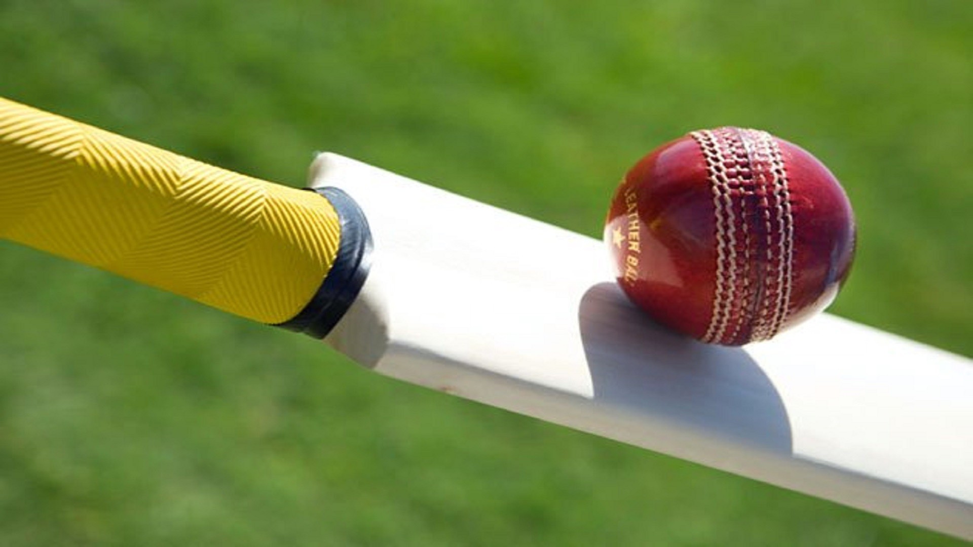 Cricket 4k Wallpaper