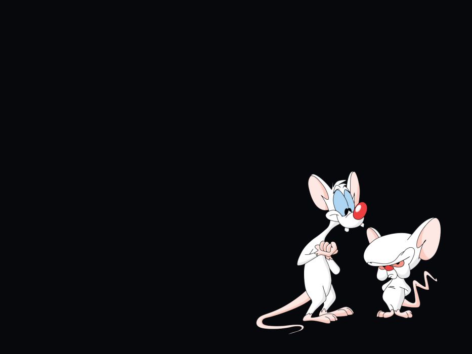 Pinky and the Brain wallpaper 1600x1200 191769 WallpaperUP