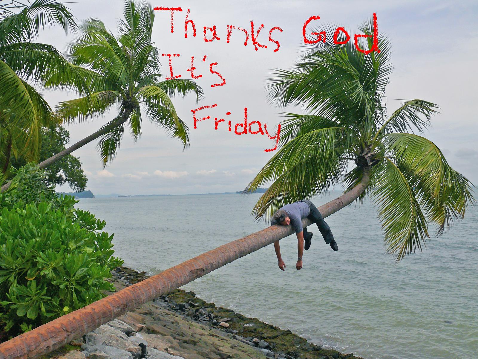 Browse Thank God It S Friday Funny Pics HD Photo Wallpaper