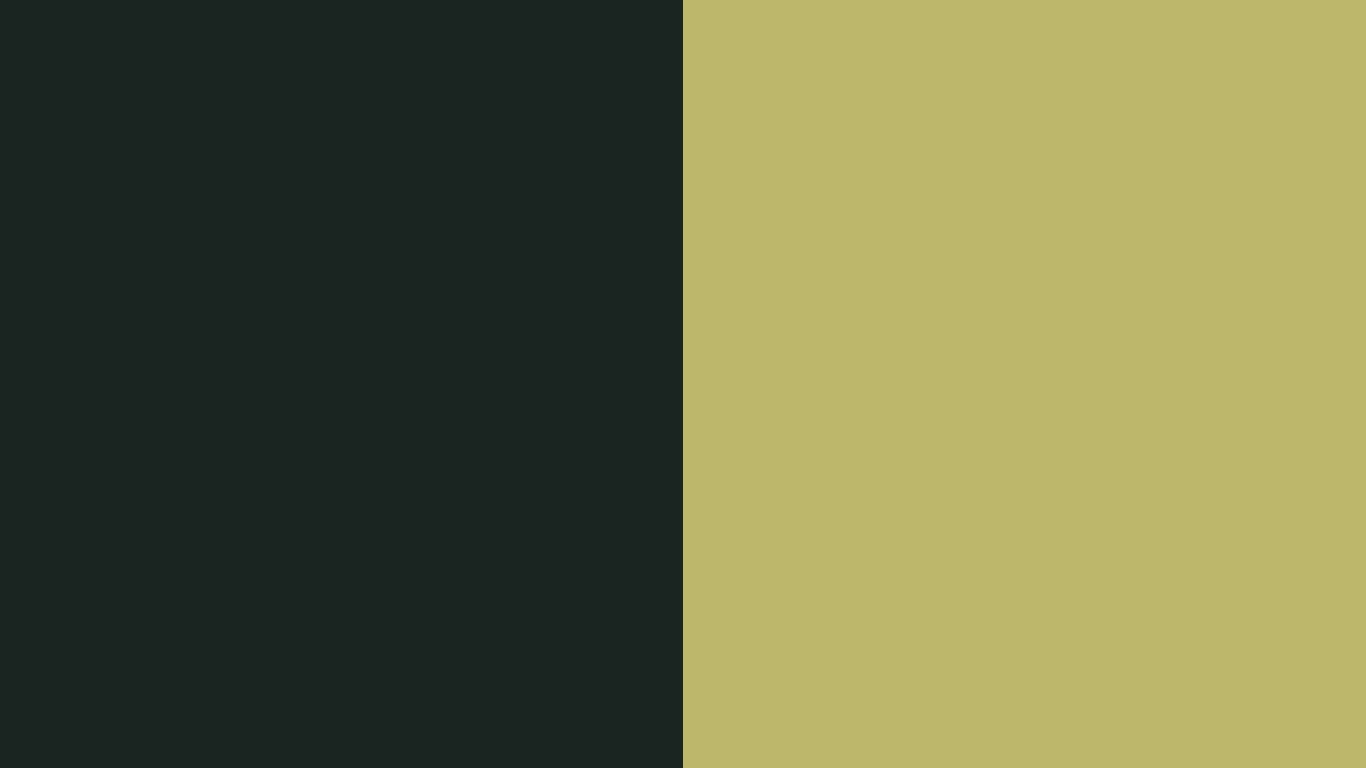 Resolution Dark Gray And Green Solid Two Color