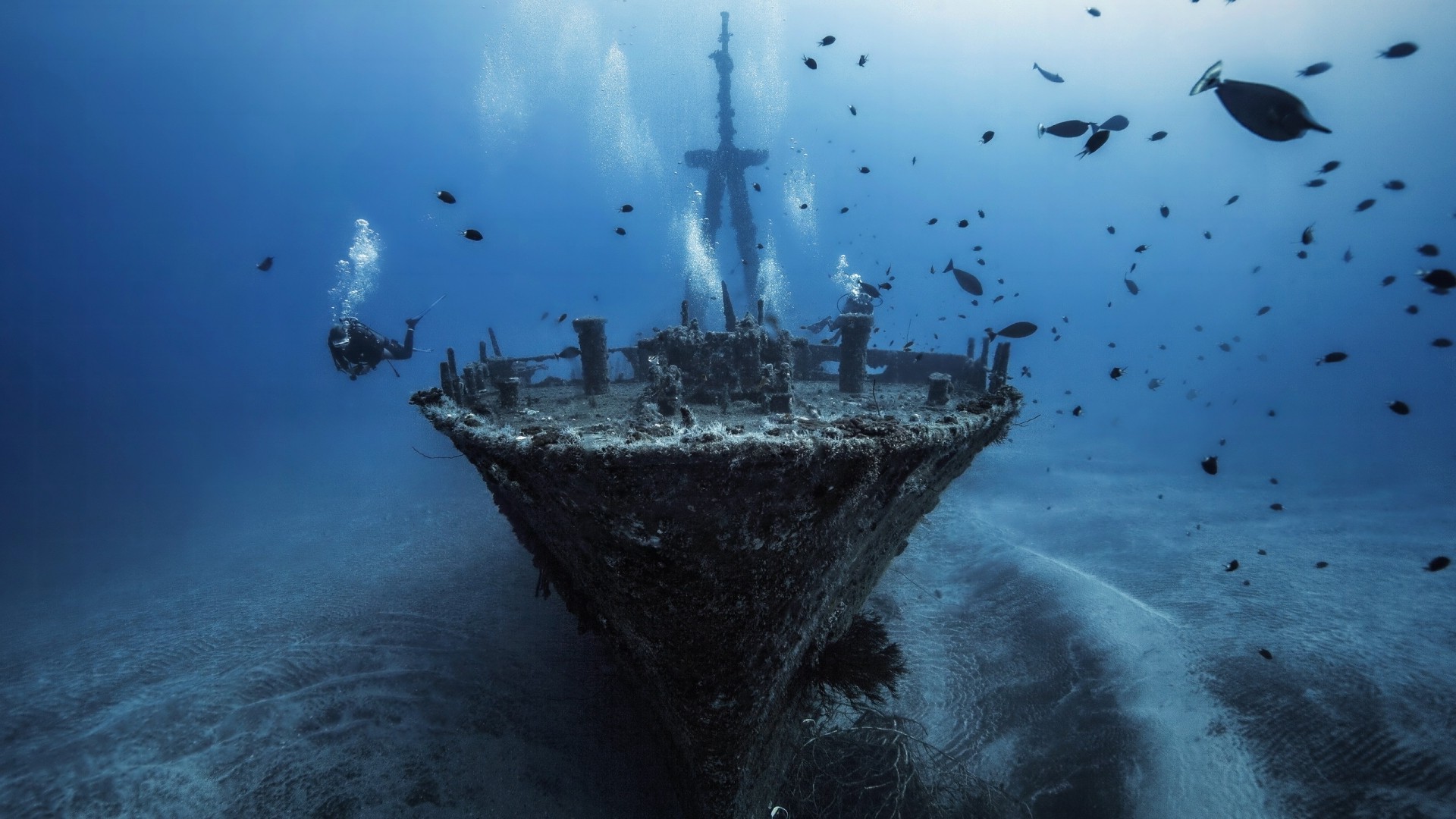 Sea Ship Shipwreck Water Underwater Fish Divers