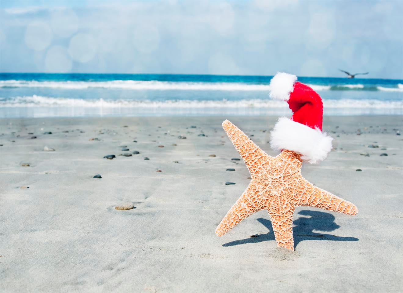 Christmas Pictures On The Beach Wallpaper9
